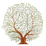 kampung-inggris-educated-interpeace